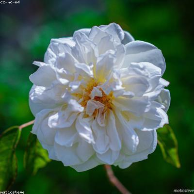 稳定性节能全自动